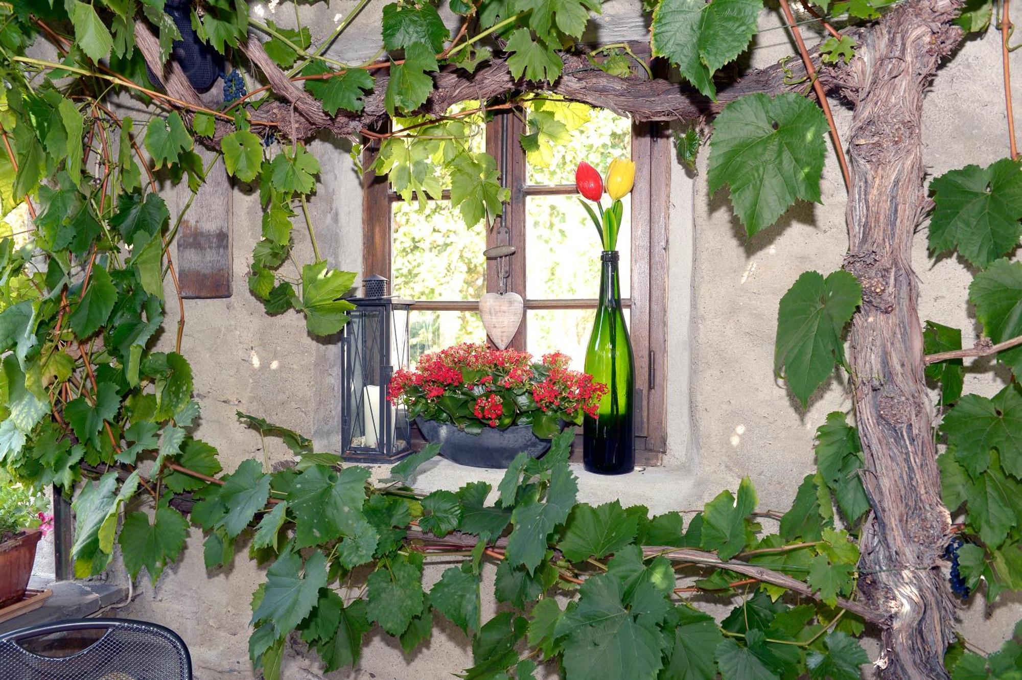 Wein- Und Gaestehaus M. Bai Mesenich Εξωτερικό φωτογραφία
