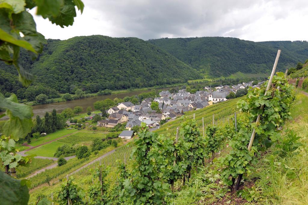 Wein- Und Gaestehaus M. Bai Mesenich Εξωτερικό φωτογραφία